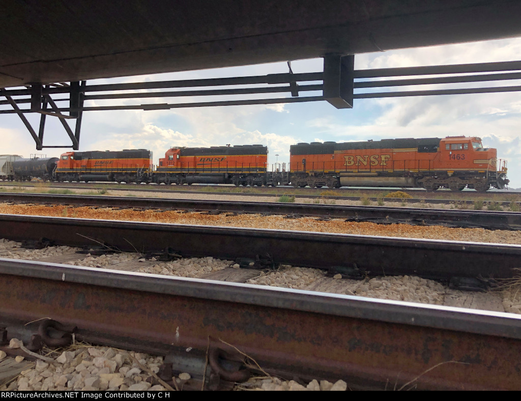 BNSF 1463/1812/1444